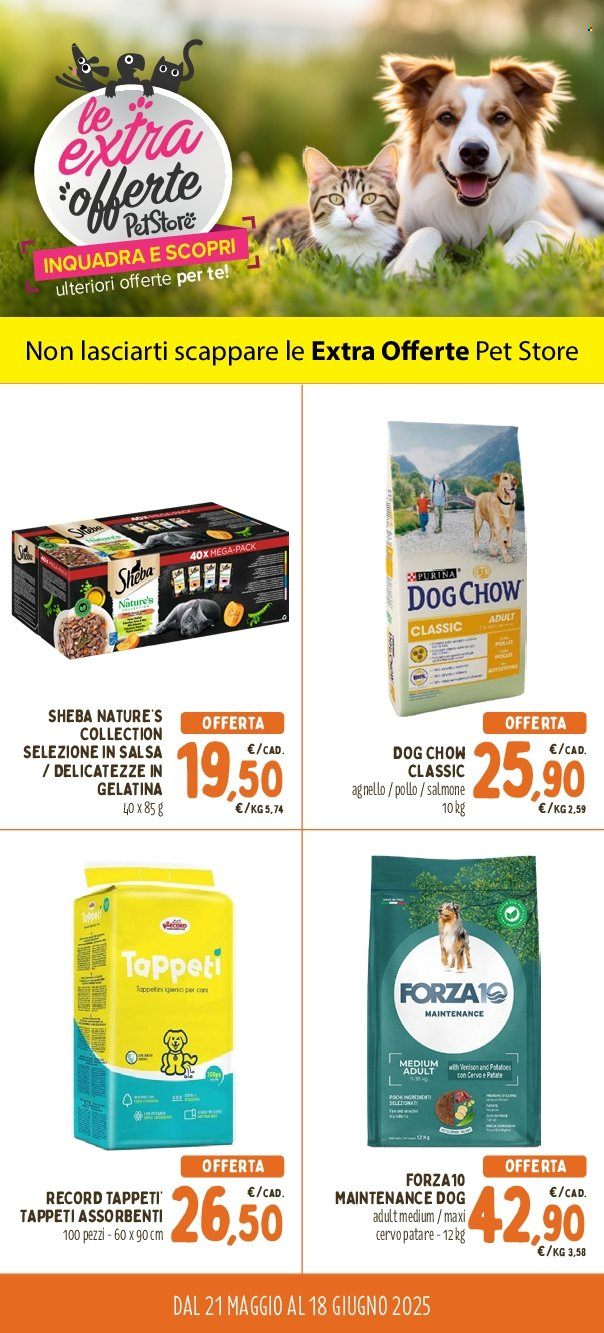 Leták Pet Store Conad - 21.5.2025 - 18.6.2025. Strana 1