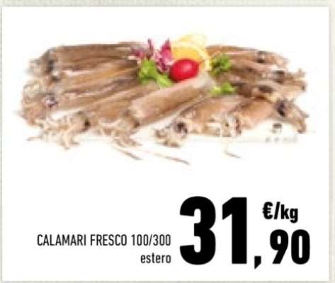 CALAMARI FRESCO 100/300 estero