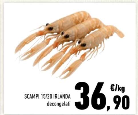 SCAMPI 15/20 IRLANDA