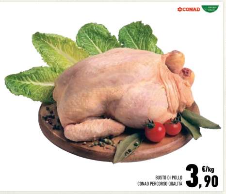 BUSTO DI POLLO
