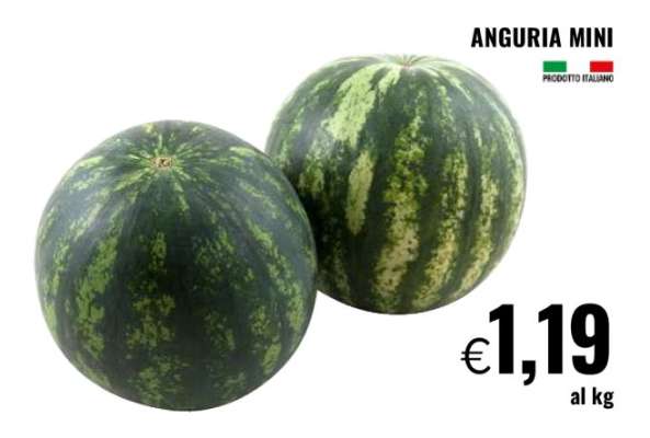 ANGURIA MINI