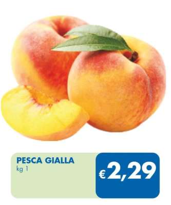 PESCA GIALLA