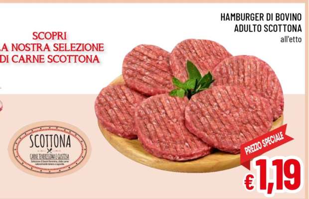 Hamburger di bovino adulto scottona