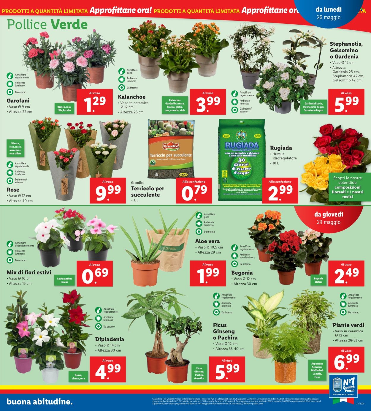 Volantino Lidl - 26/5/2025 - 1/6/2025. Pagina 1