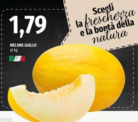 Melone Giallo