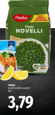 FINDUS