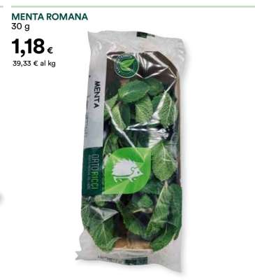 MENTA ROMANA