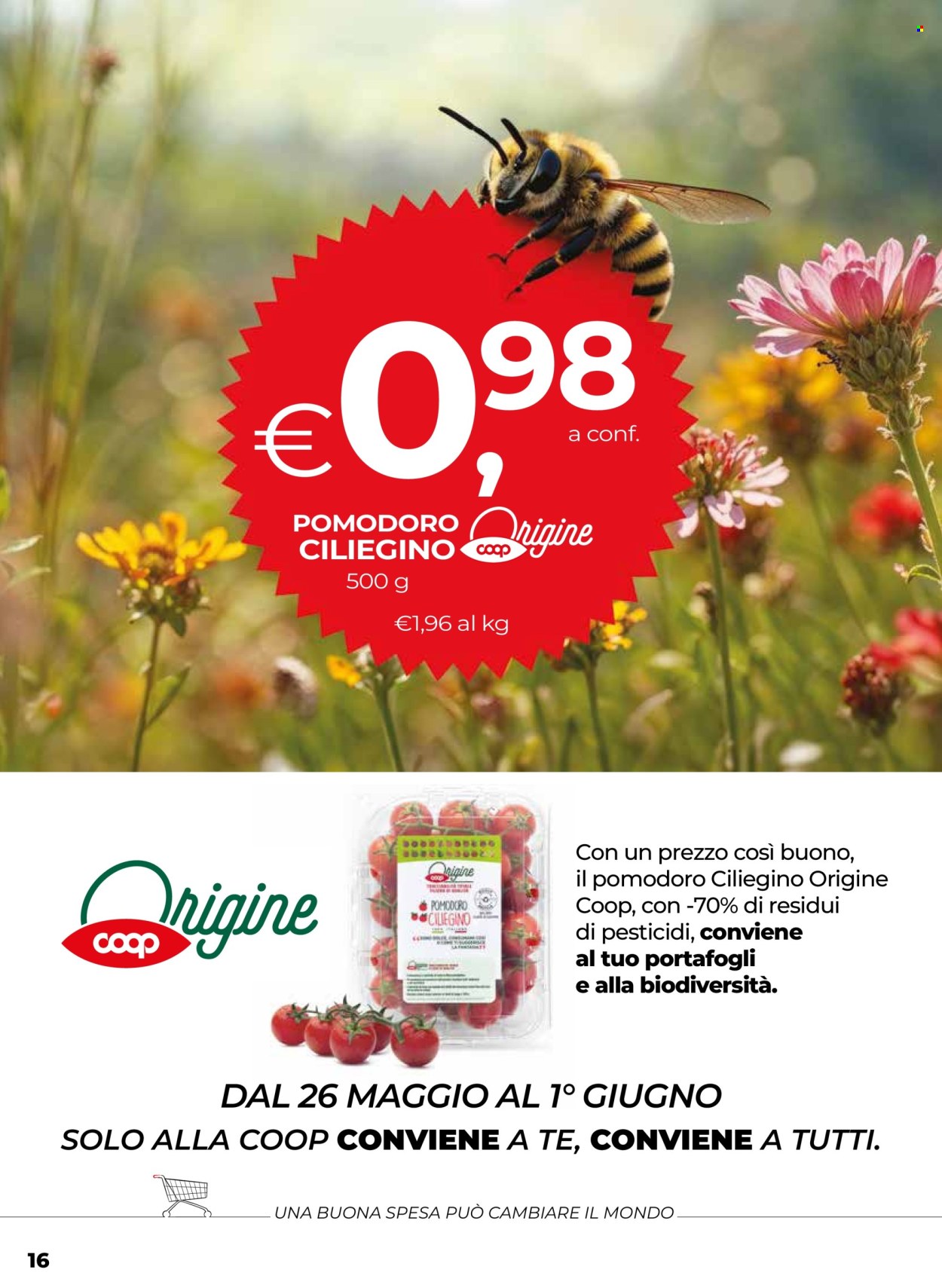 Volantino Coop - 22/5/2025 - 4/6/2025. Pagina 16