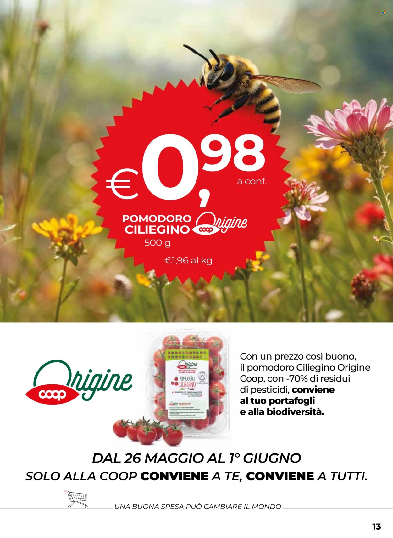 Volantino Coop - 22/5/2025 - 4/6/2025. Pagina 13