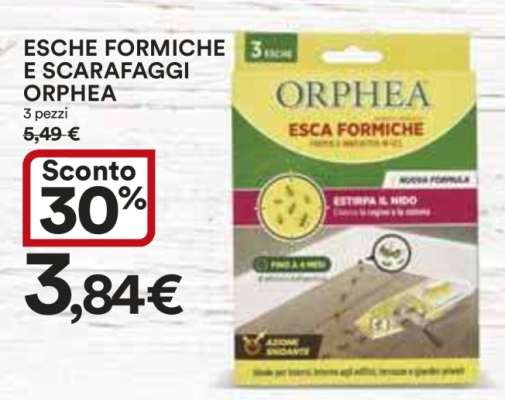 ESCHE FORMICHE E SCARAFAGGI ORPHEA
