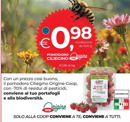 POMODORO CILIEGINO Origine Coop