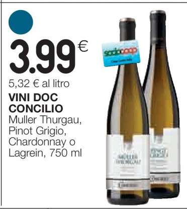 VINI DOC CONCILIO