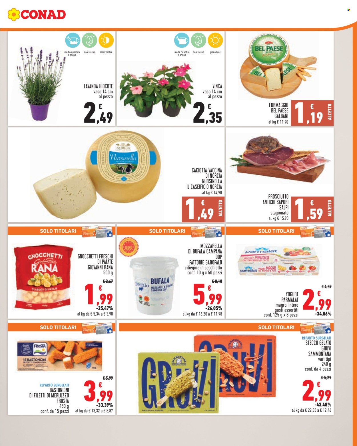 Leták Conad - 28.5.2025 - 3.6.2025. Strana 3