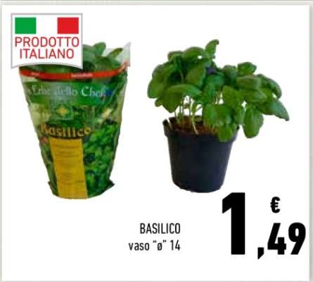 Basilico