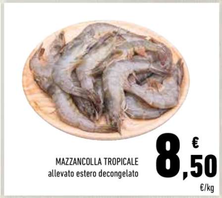 Mazzancolla Tropicale