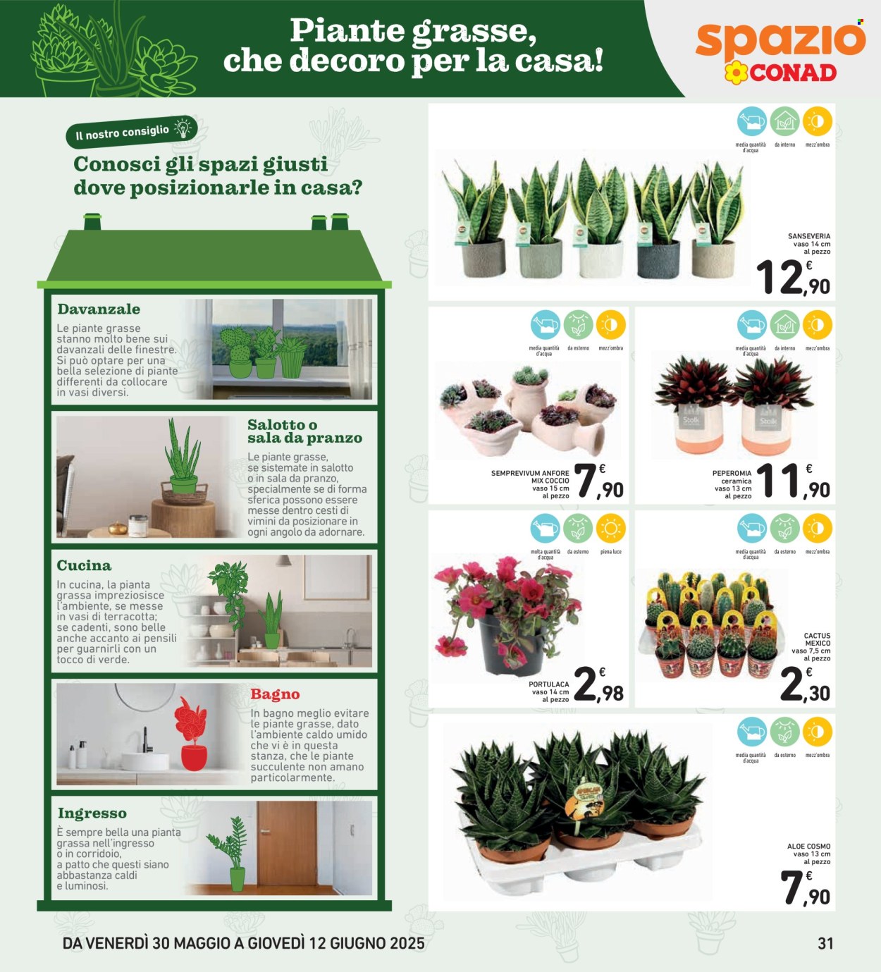 Volantino Spazio Conad - 30/5/2025 - 12/6/2025. Pagina 1
