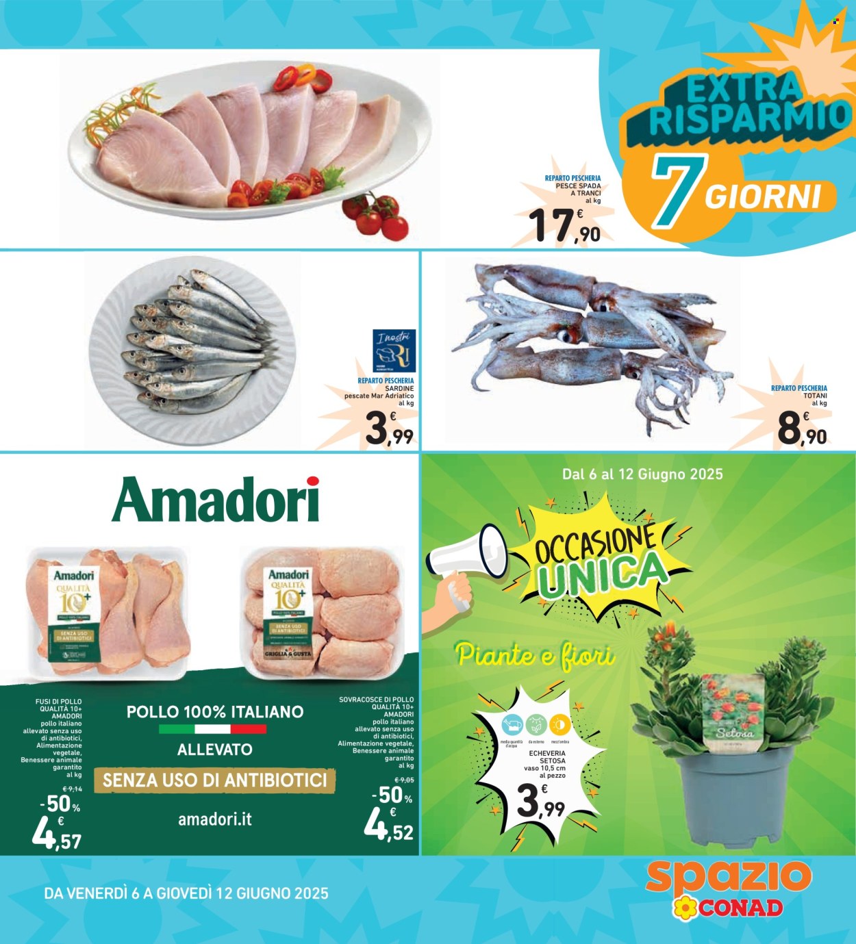 Volantino Spazio Conad - 30/5/2025 - 12/6/2025. Pagina 36
