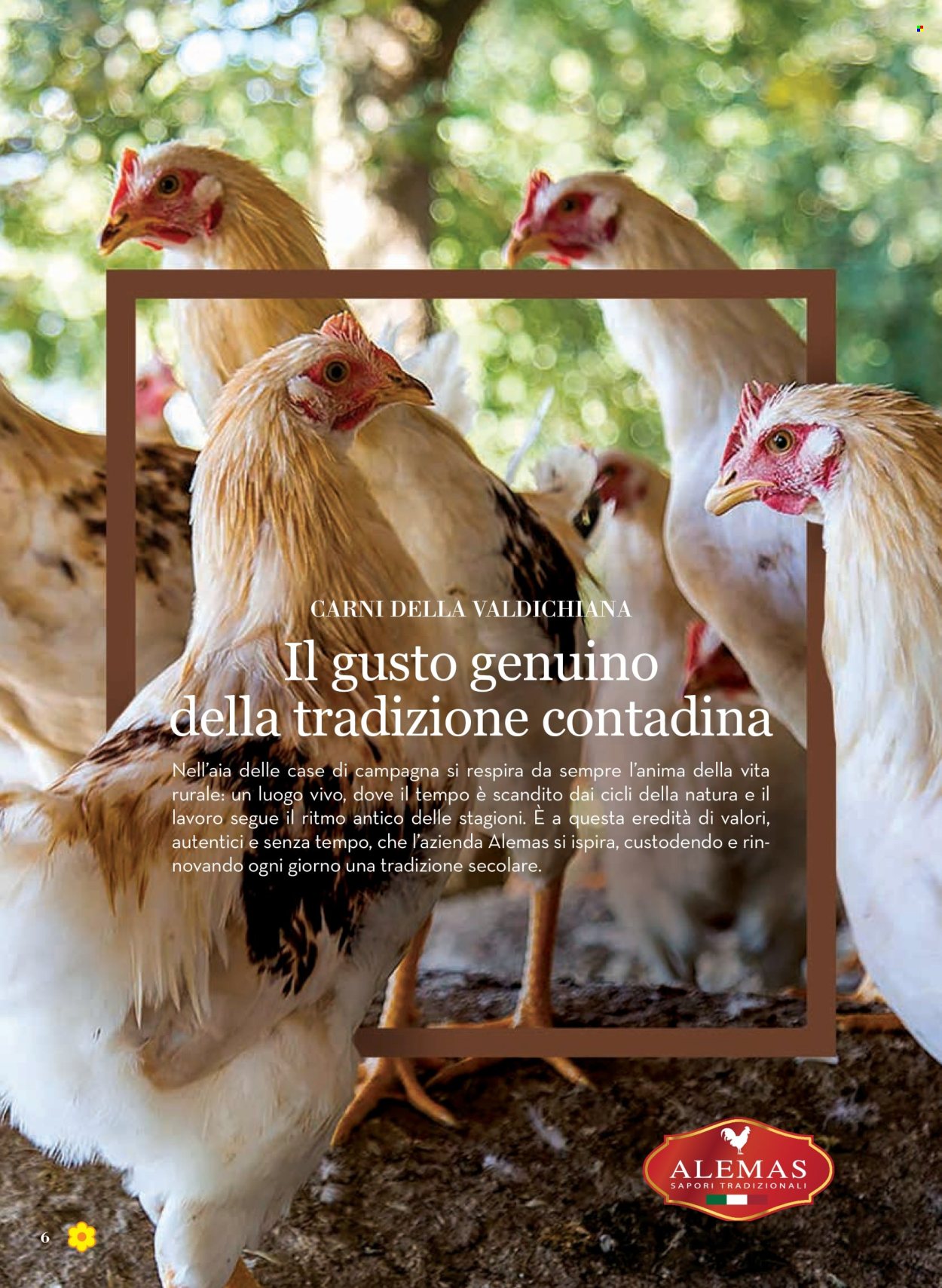 Volantino Conad - 5/6/2025 - 18/6/2025. Pagina 1