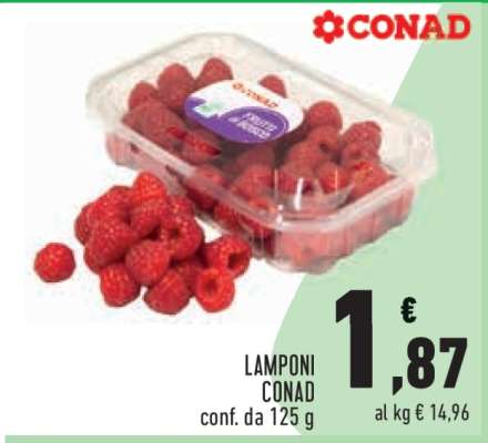Lamponi