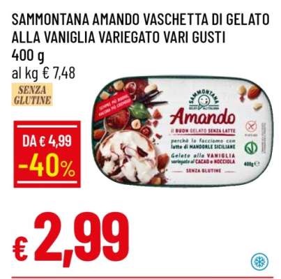 SAMMONTANA AMANDO VASCHETTA DI GELATO ALLA VANIGLIA VARIEGATO VARI GUSTI