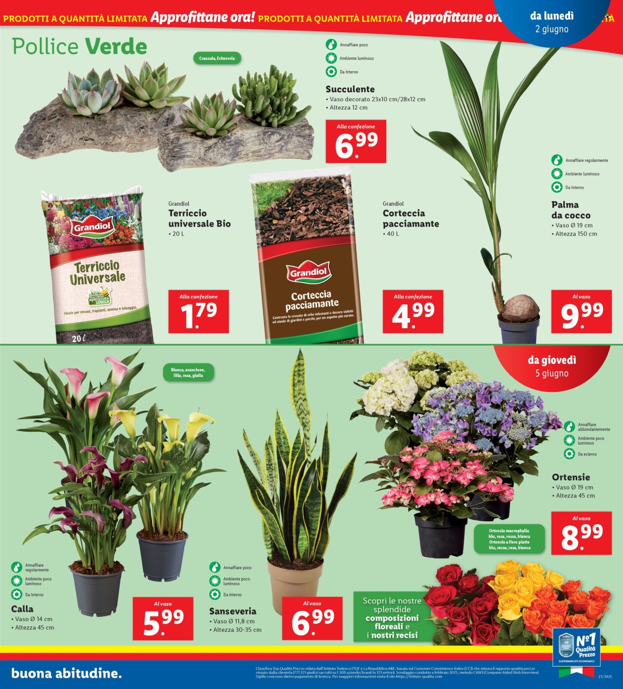 Volantino Lidl - 2/6/2025 - 8/6/2025. Pagina 27