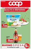 leaflet
