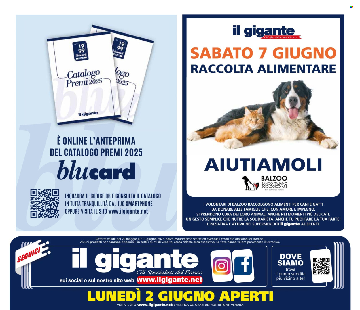 Volantino Il Gigante - 29/5/2025 - 11/6/2025. Pagina 34