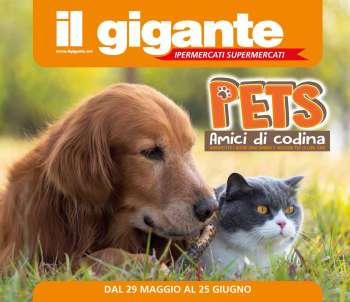 Volantino Il Gigante - 29/5/2025 - 25/6/2025.