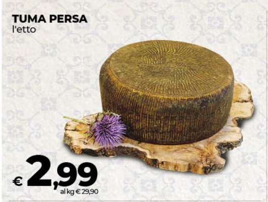 TUMA PERSA