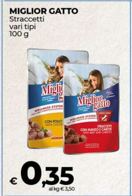 Miglior Gatto