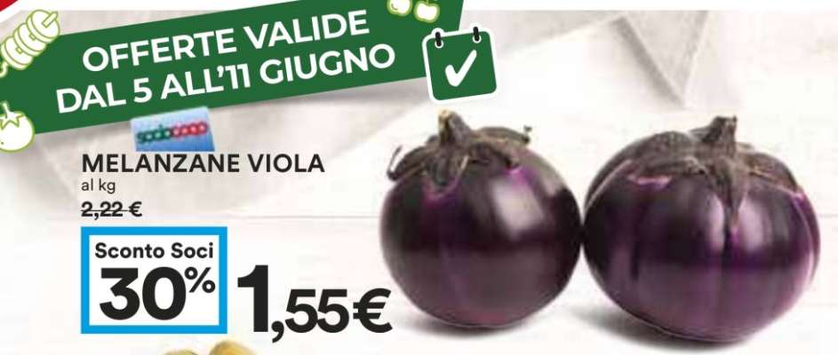 Melanzane Viola