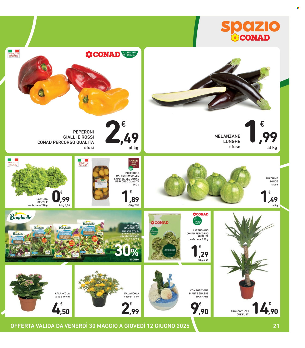 Volantino Spazio Conad - 30/5/2025 - 12/6/2025. Pagina 21