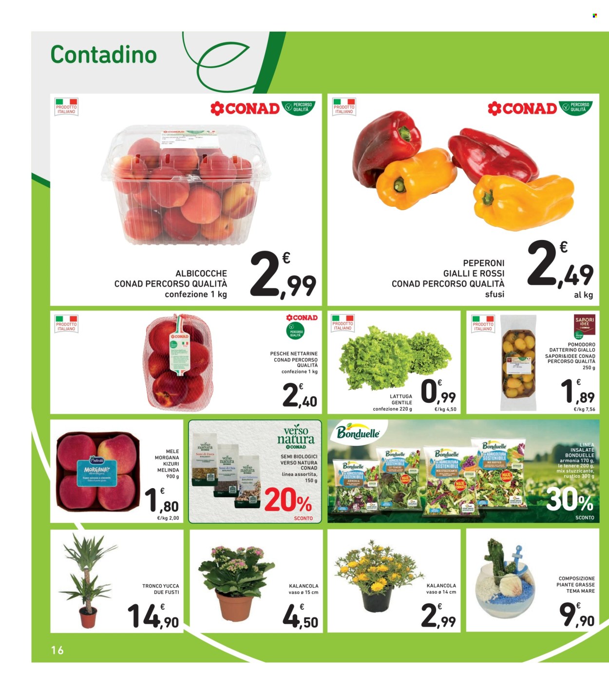 Volantino Spazio Conad - 30/5/2025 - 12/6/2025. Pagina 16