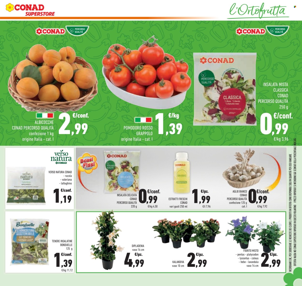 Volantino Conad Superstore - 5/6/2025 - 17/6/2025. Pagina 13