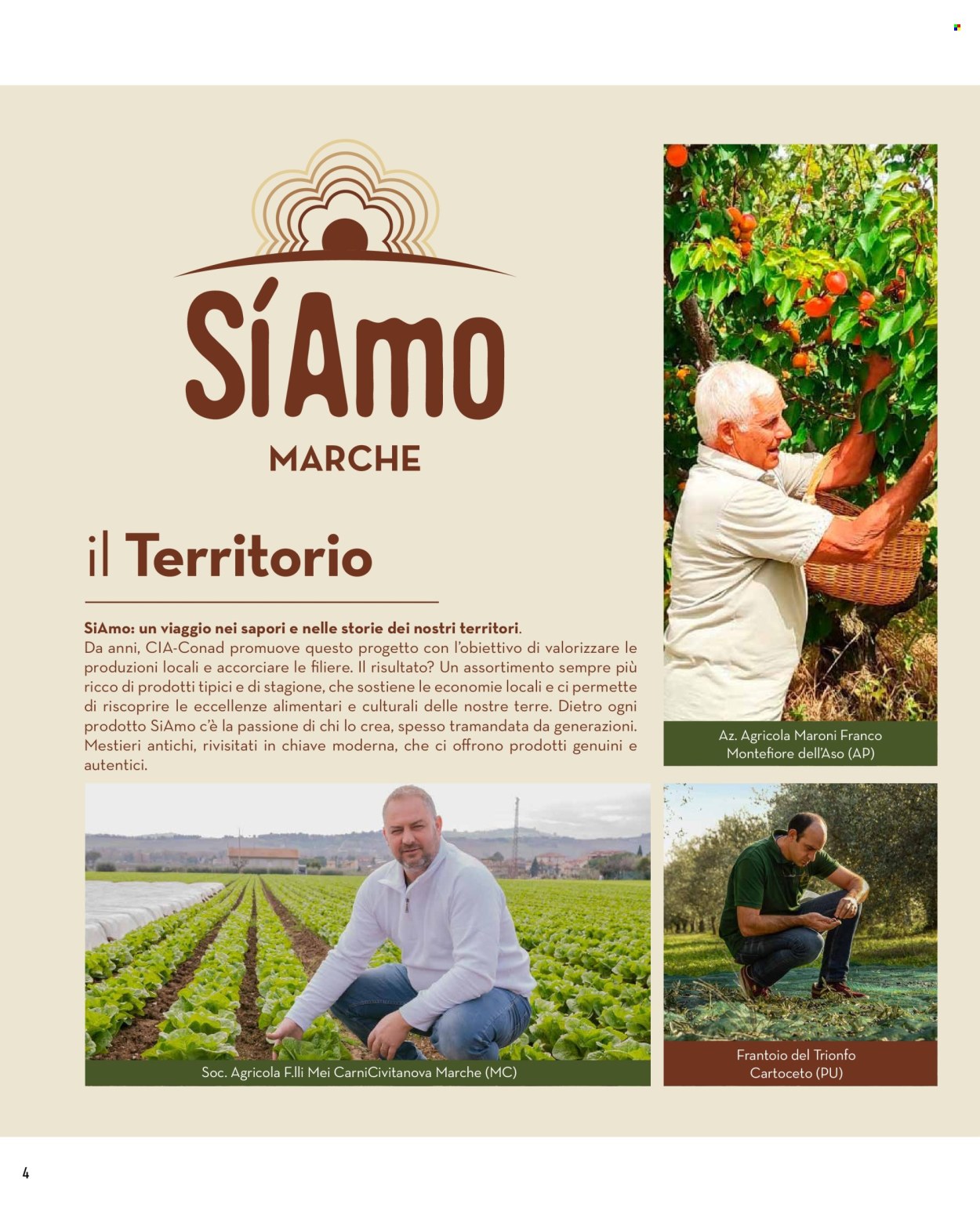 Volantino Conad City - 31/5/2025 - 5/6/2025. Pagina 4