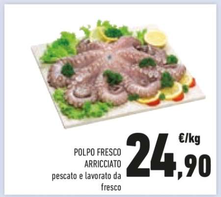Polpo Fresco Arricciato