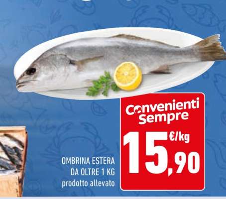 OMBRINA ESTERA
