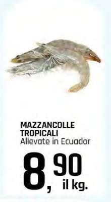 MAZZANCOLLE TROPICALI
