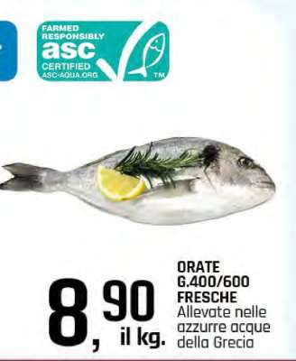 ORATE G.400/600 FRESCHE