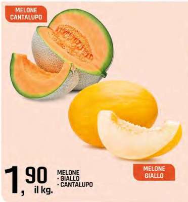 Melone Giallo e Cantalupo