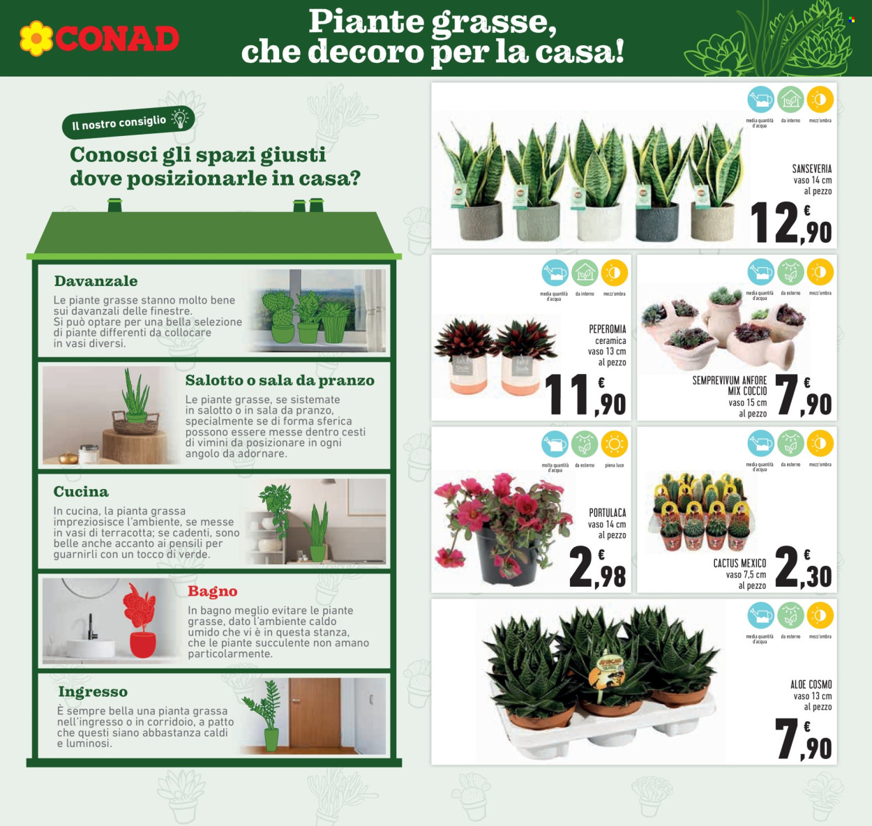 Volantino Conad - 5/6/2025 - 14/6/2025. Pagina 9