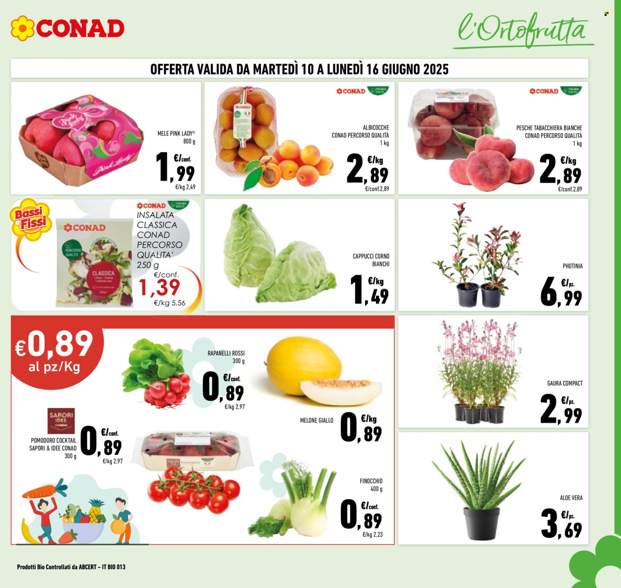 Volantino Conad - 3/6/2025 - 16/6/2025. Pagina 7