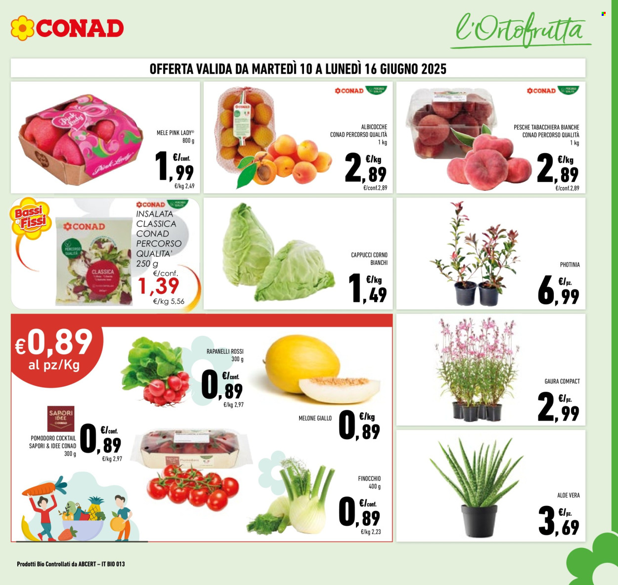 Volantino Conad - 3/6/2025 - 16/6/2025. Pagina 7