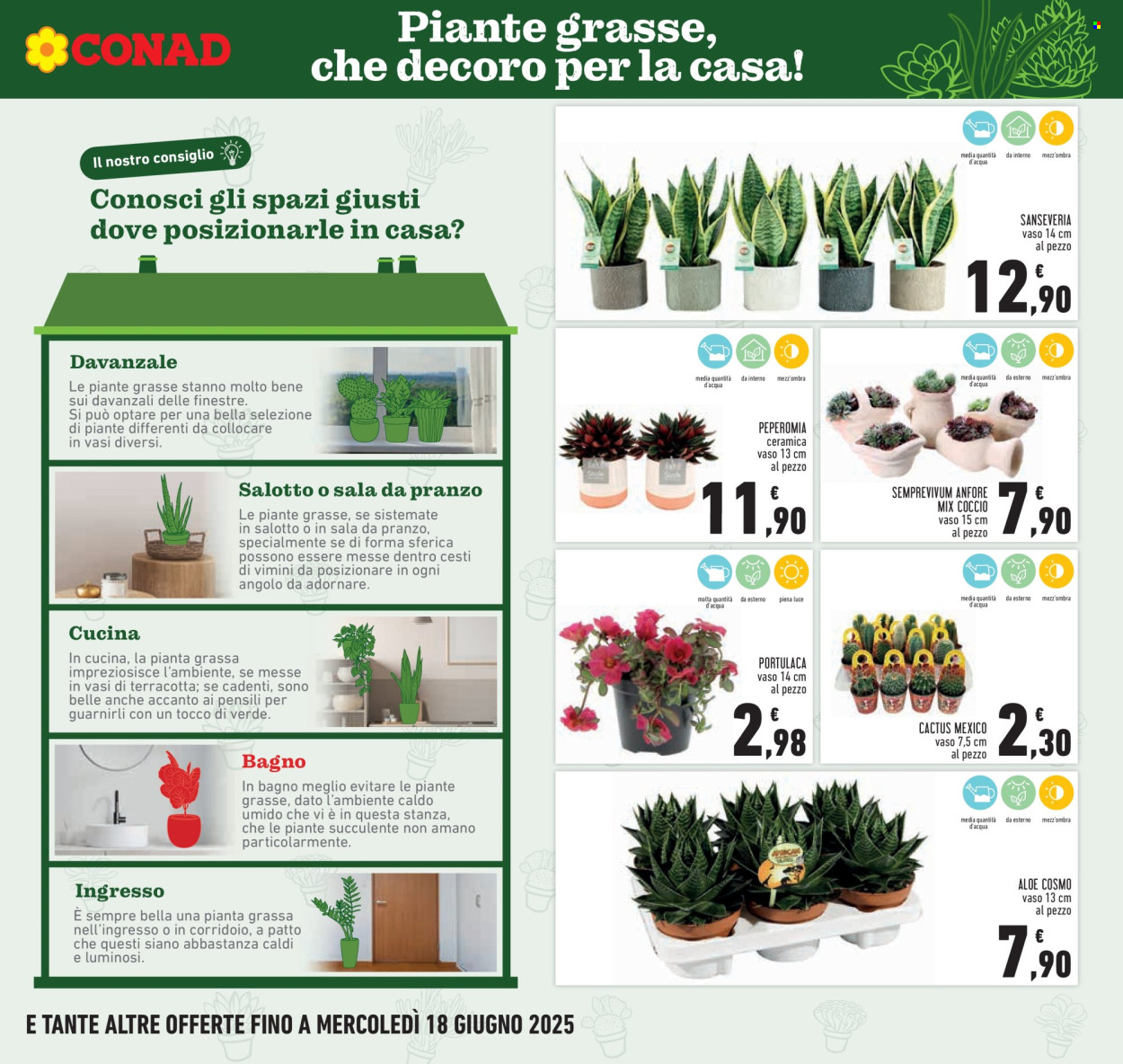 Volantino Conad - 5/6/2025 - 14/6/2025. Pagina 7