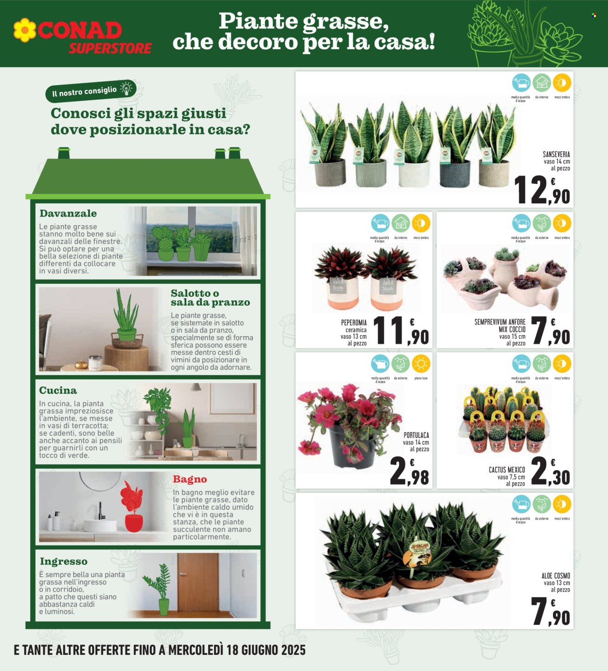 Volantino Conad Superstore - 5/6/2025 - 14/6/2025. Pagina 7