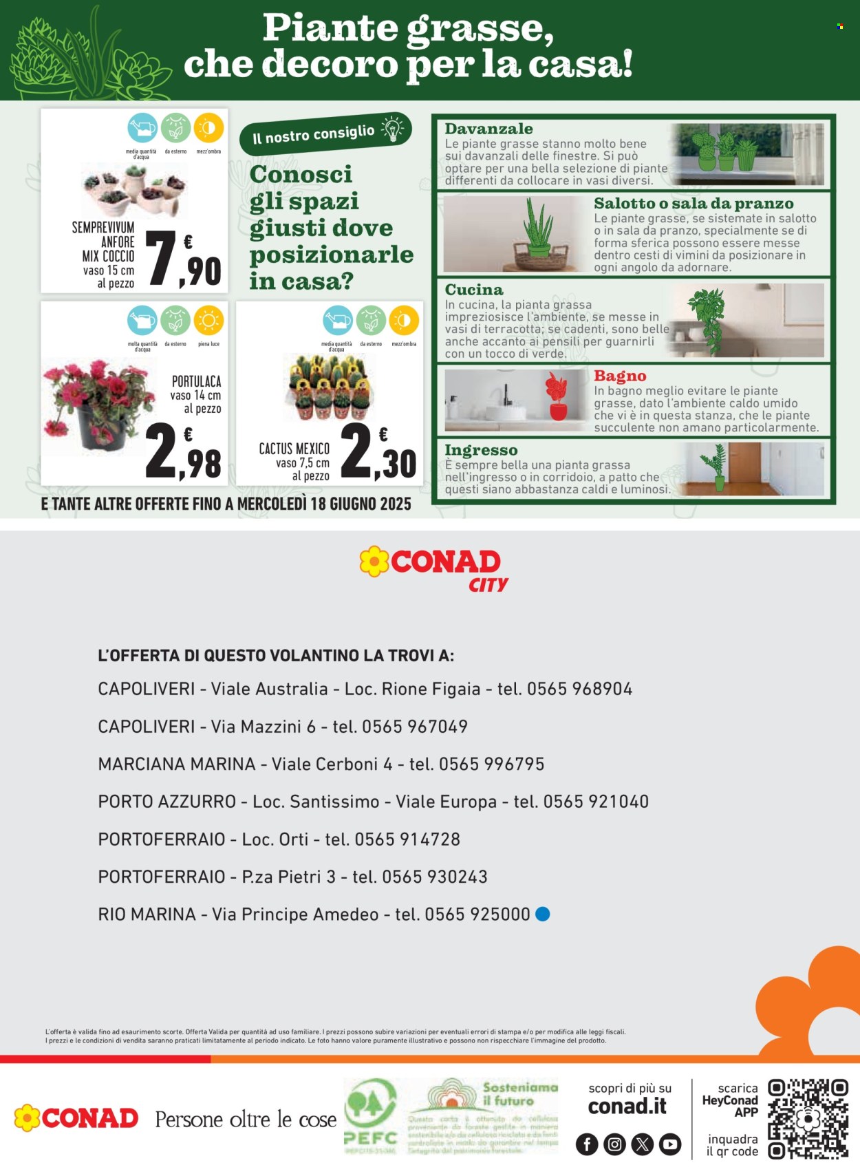 Volantino Conad City - 5/6/2025 - 14/6/2025. Pagina 20