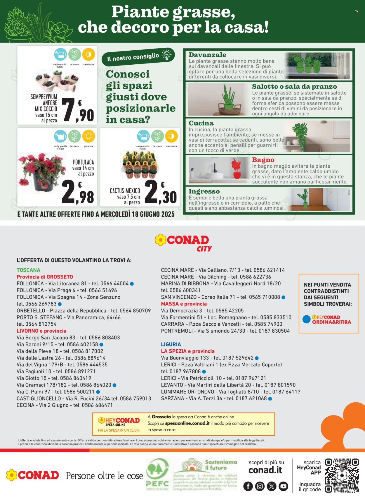 Volantino Conad - 5/6/2025 - 14/6/2025. Pagina 20