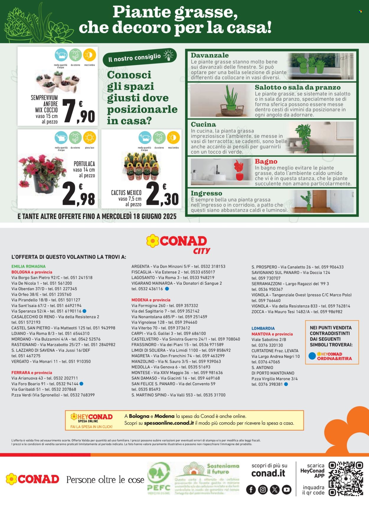 Volantino Conad - 5/6/2025 - 14/6/2025. Pagina 20