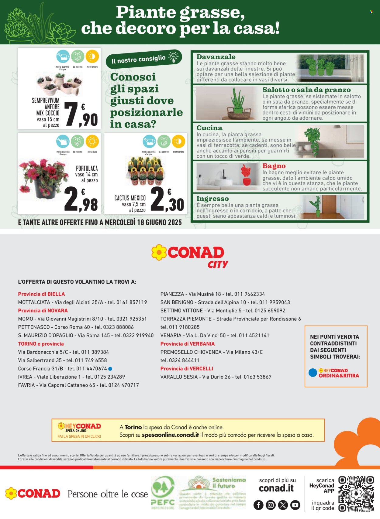 Volantino Conad - 5/6/2025 - 14/6/2025. Pagina 20