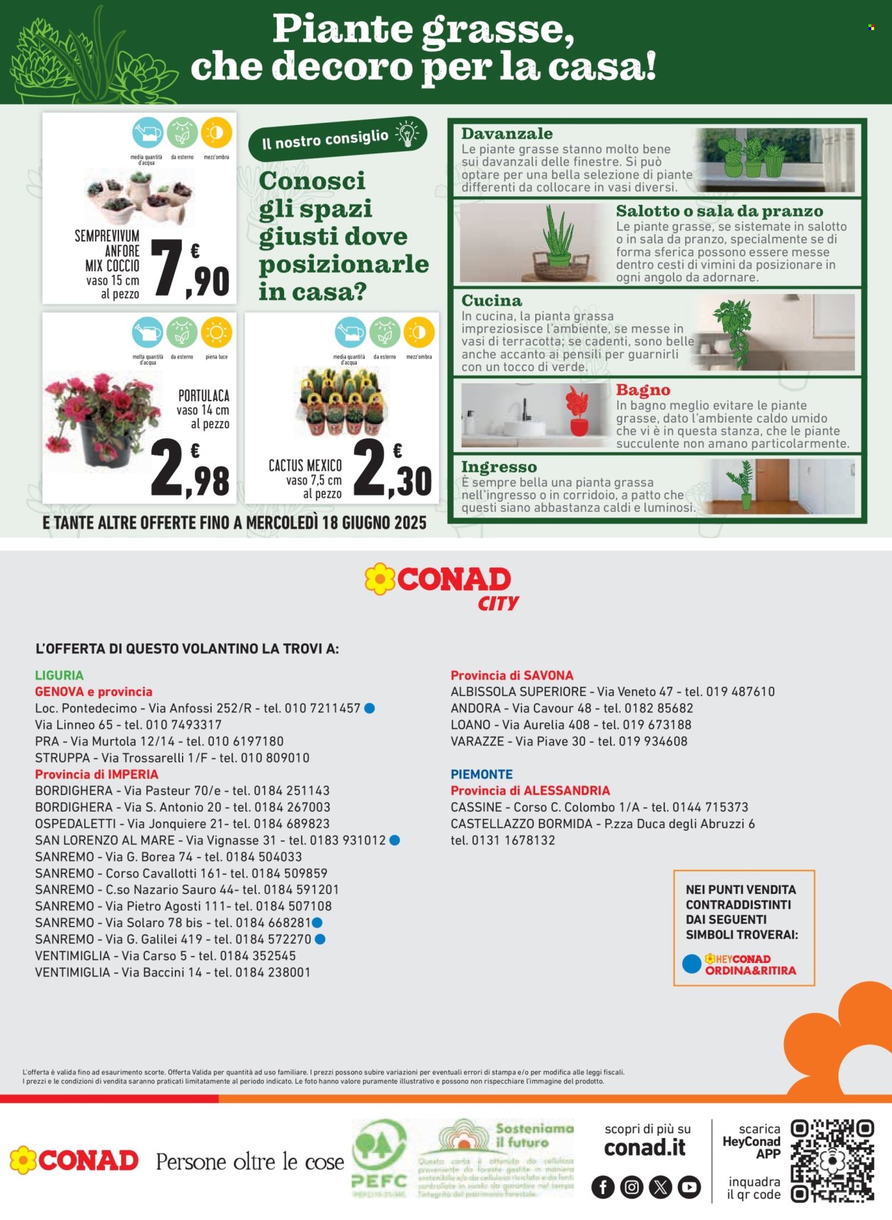 Volantino Conad - 5/6/2025 - 14/6/2025. Pagina 20